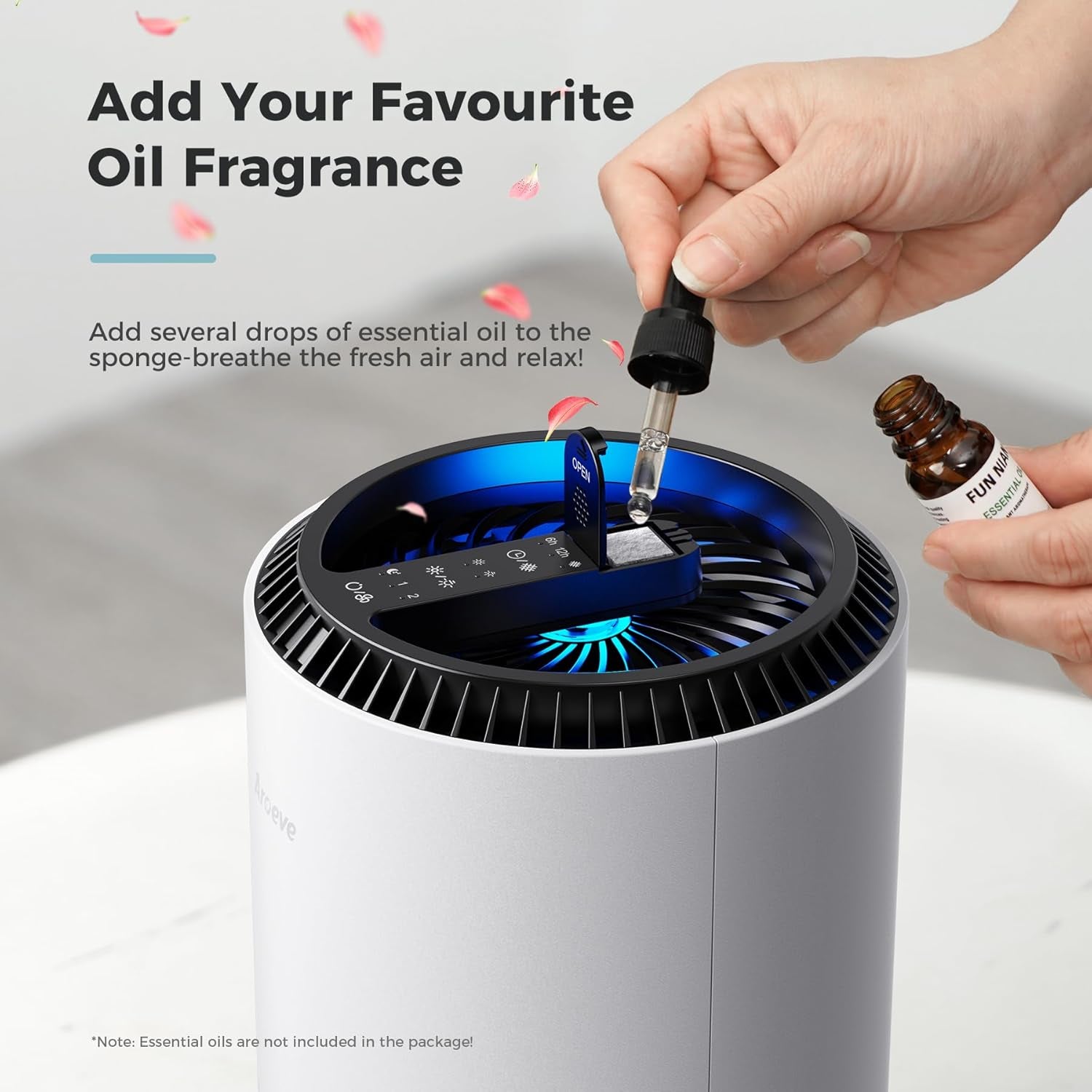 Portable Air Purifiers for Bedroom & Living Room