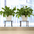 Heavy Duty Rustproof Metal Potted Plant Stands