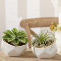 Geometric Ceramic Planters Decorative Bowls