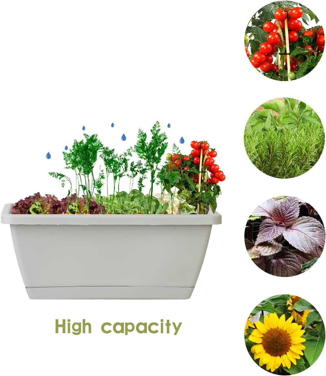 Rectangle Gardening Plant Pots 