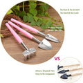 Mini Garden Hand Transplanting Succulent Tools Set