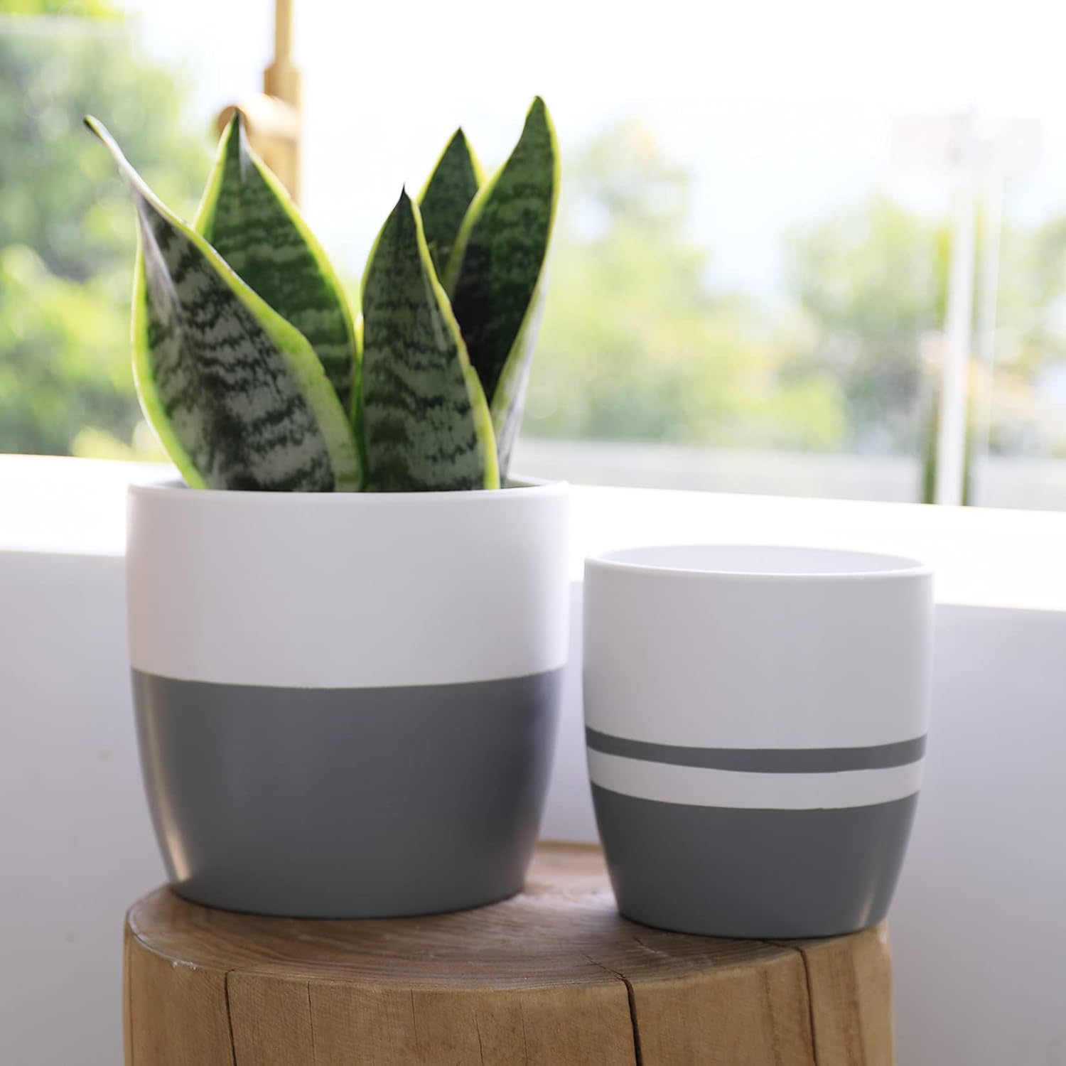 Ceramic Flower Pots for Indoor Plants