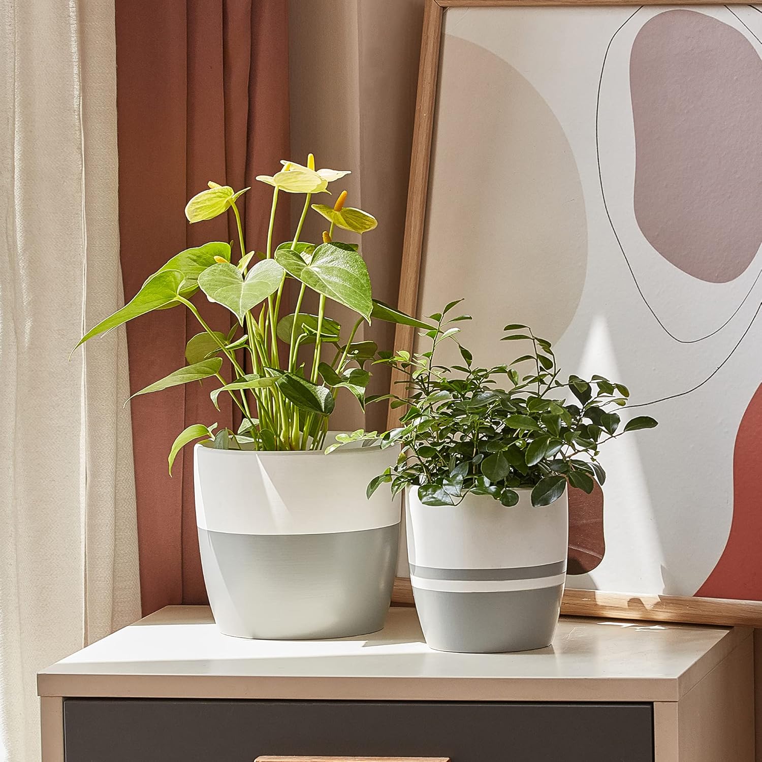 Ceramic Flower Pots for Indoor Plants