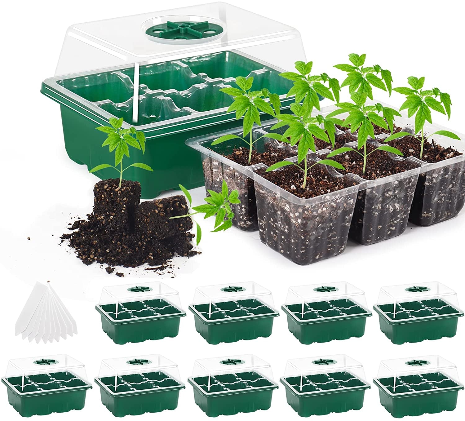 Seedling Trays Seed Starter Kit